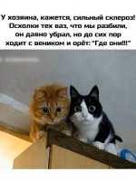 images (1).jpeg
