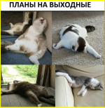 image (4672).png