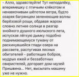 image (4901).png
