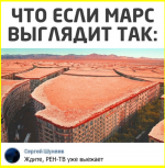 image (5051).png