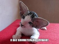 qezdtszuhcc.jpg
