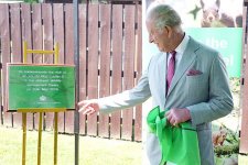 gettyimages-2278282603-612x612.jpg