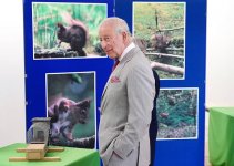 gettyimages-2278272667-612x612.jpg