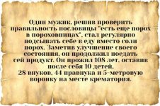 listaya-pozheltevshie_5611.jpg.320edaebe696b72aa3a1884e8a85d62a.jpg