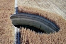 images (8).jpeg