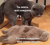 1755151202840.webp
