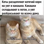1762962301455.webp
