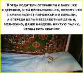 image (5491).png