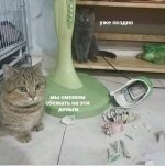75352834_original.jpg