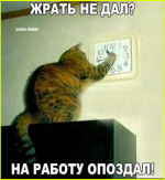 image (5492).png