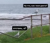1771151402192.webp