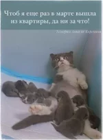 1743241501197.webp