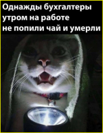 image (5674).png