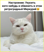 image (30).png