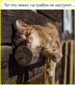 image (51).png