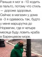1740387603264.webp