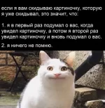 1745249661499.webp