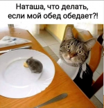 1780231941.png