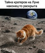 1780352975.jpg