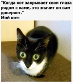 1721588506434.webp