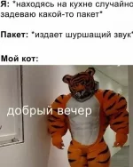 1721537468843.webp