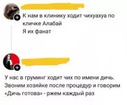 1780396033735.webp