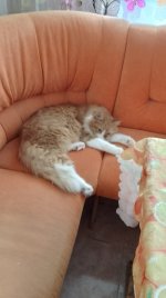 IMG_20260603_160633.jpg
