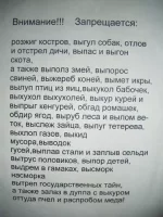 1745423303826.webp
