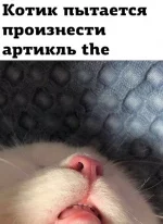 AQAKLERYdCeGZ3RJGloojYKV6xnm7fjtGBCWb_DNoUIKWt5YOZq37ZYn6S5VcOBVWgyBrIUM3raD7LGwt3dAIz9Apyc.webp