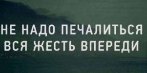 1780508677.jpg