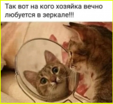 image (484).png