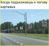 image (335).png