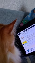 IMG_20260607_172310.jpg