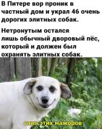 1780765973.jpg
