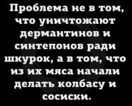 1780809359.jpg
