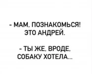 img_6599.webp
