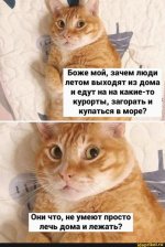 1780985535.jpg