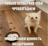 1776273949_25.jpg