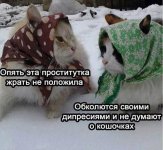 1772132571_7.jpg