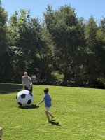 IMG_20260610_011158_786.jpg