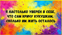 image (885).png