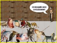 collage (19).jpg
