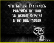 image (905).png