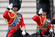 gettyimages-2281362175-612x612.jpg