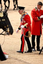 gettyimages-2281372065-612x612.jpg