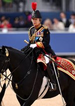 gettyimages-2281366719-612x612.jpg