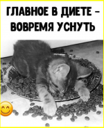 image (1132).png