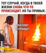 IMG_4529.jpeg