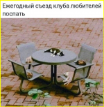image (1543).png