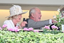 gettyimages-2282054266-612x612.jpg
